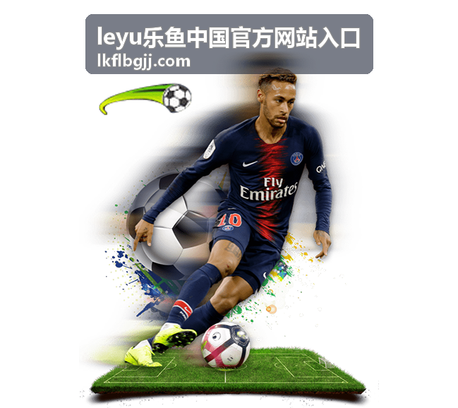 乐鱼入口访问异常排查与解决方案