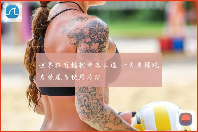 世界杯直播软件怎么选 一文看懂观看渠道与使用方法