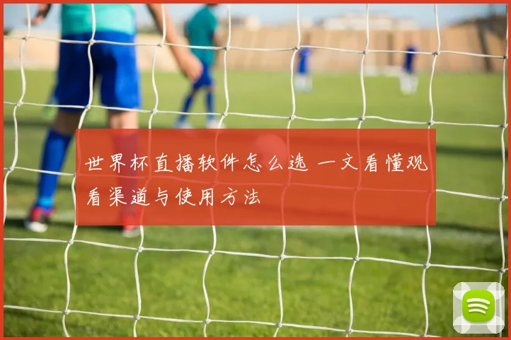 世界杯直播软件怎么选 一文看懂观看渠道与使用方法