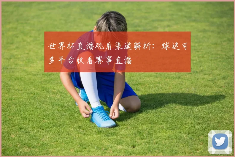 世界杯直播观看渠道解析：球迷可多平台收看赛事直播
