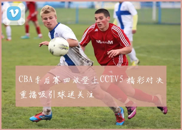 CBA季后赛回放登上CCTV5 精彩对决重播吸引球迷关注