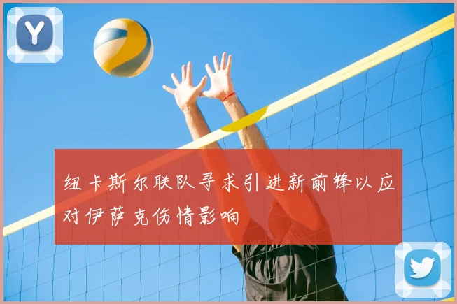 纽卡斯尔联队寻求引进新前锋以应对伊萨克伤情影响