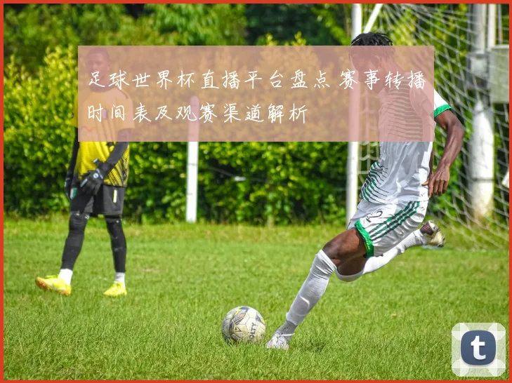足球世界杯直播平台盘点 赛事转播时间表及观赛渠道解析