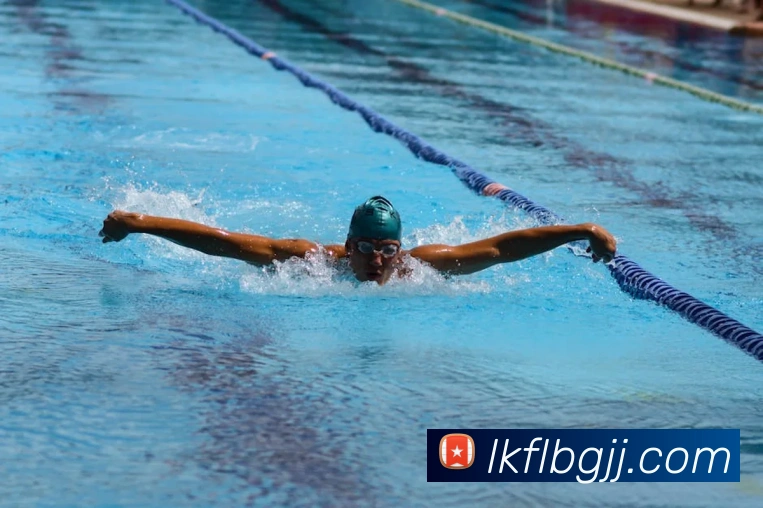 pg娱乐电子游戏官网最新版本平台生态图